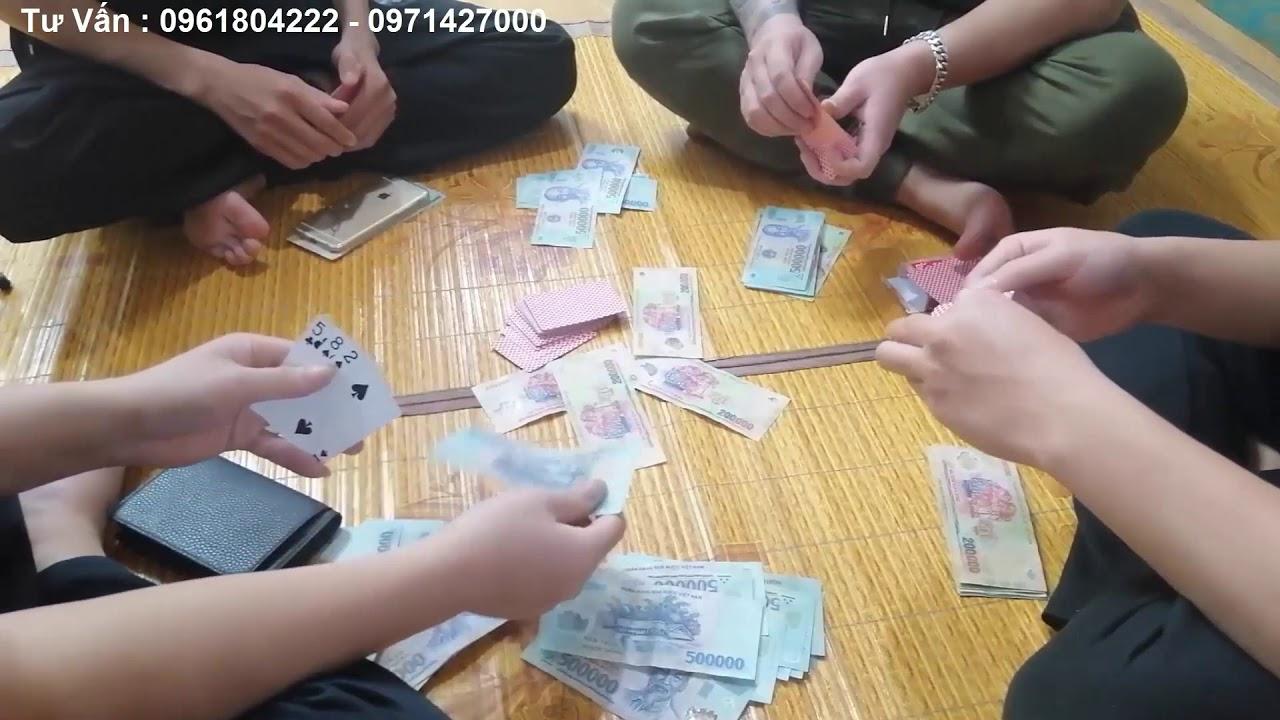 Khám phá Ong Gia Dao Vang và những bí quyết chiến thắng dành cho người chơi